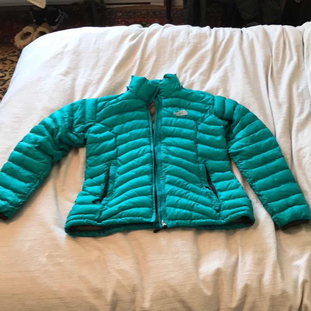 The north face puffer